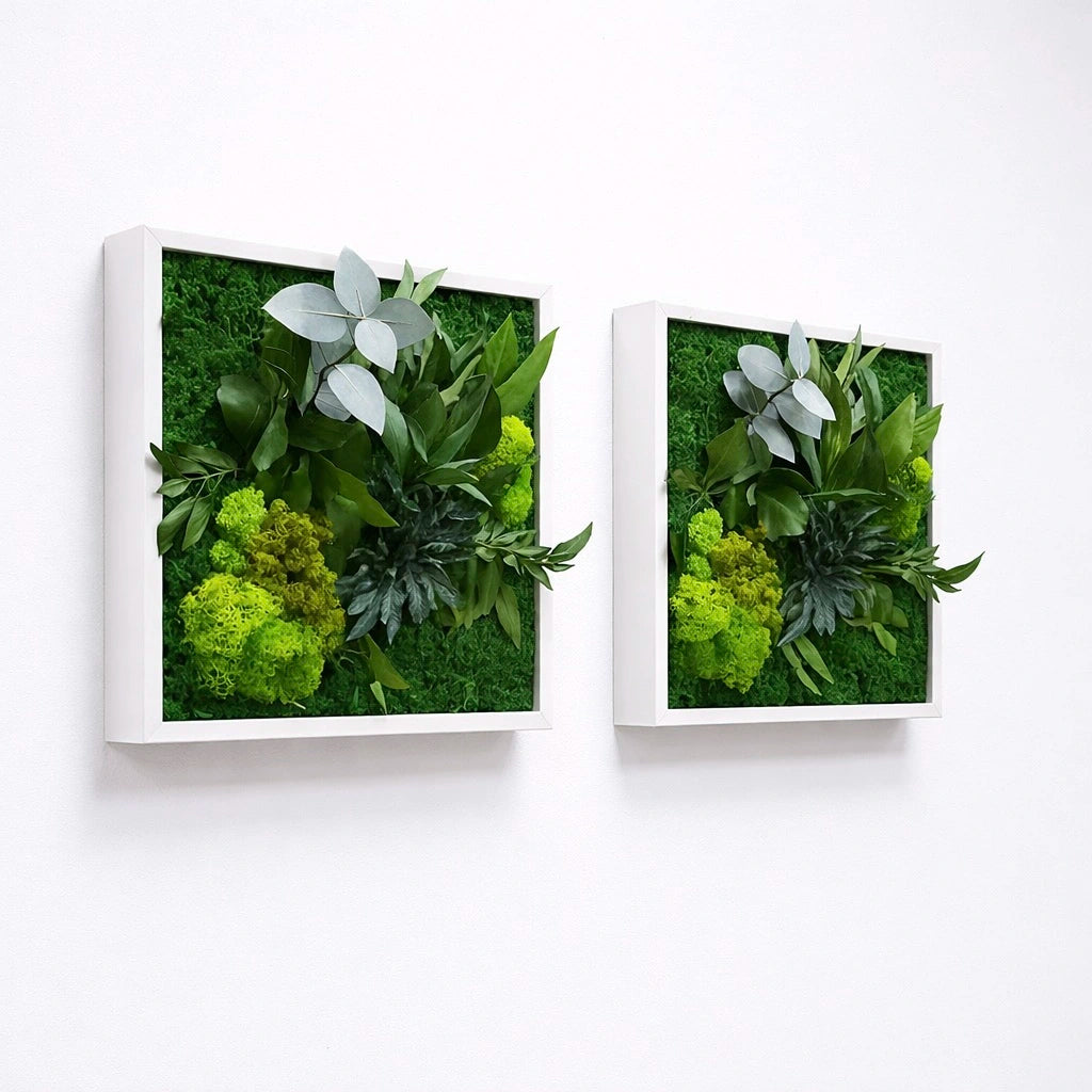 Tableaux végétaux naturels stabilisés 