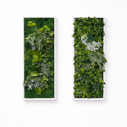 tableaux végétaux naturels stabilisés