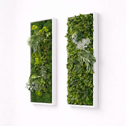 tableaux végétaux naturels stabilisés 