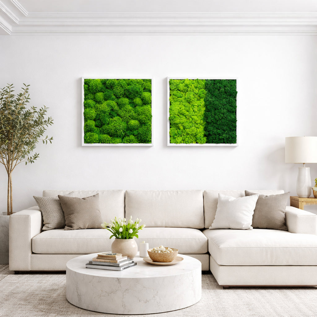 tableaux végétaux naturels stabilisés 