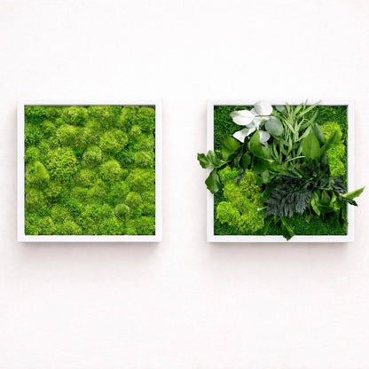 tableaux végétaux naturels stabilisés 