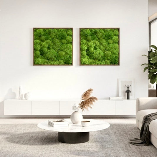 Tableaux végétaux naturels stabilisés Bubble 