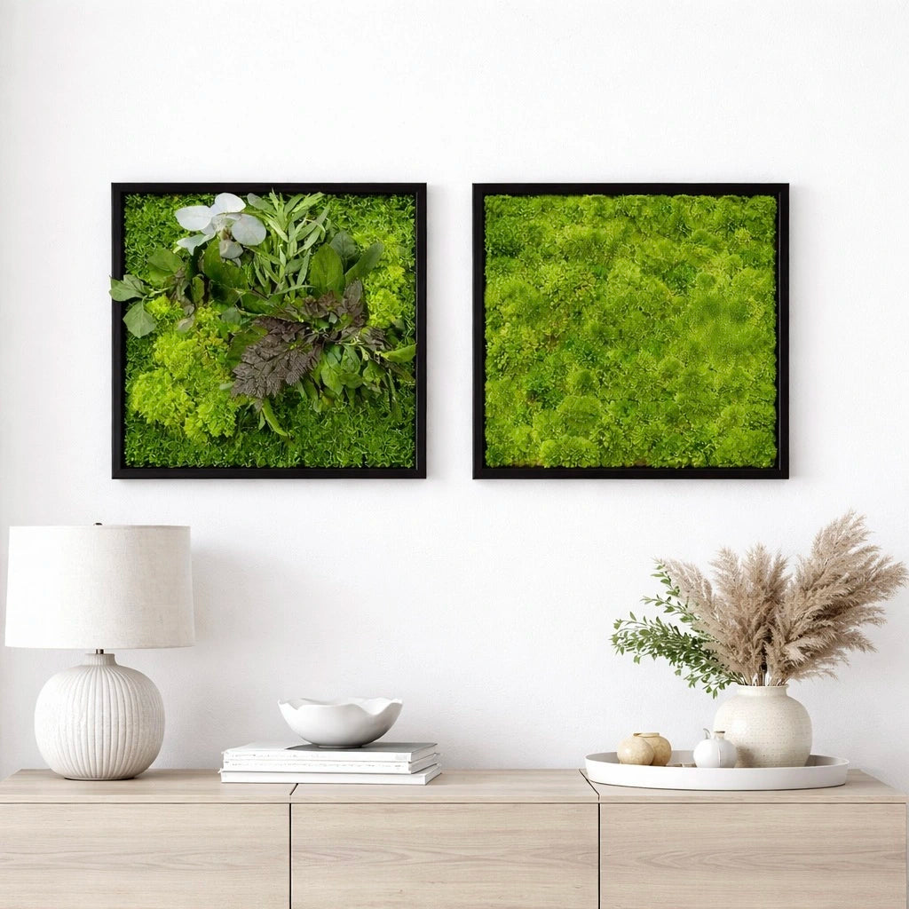 Tableaux végétaux naturels stabilisés 