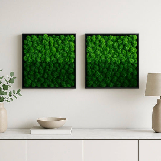 tableaux végétaux naturels stabilisés 