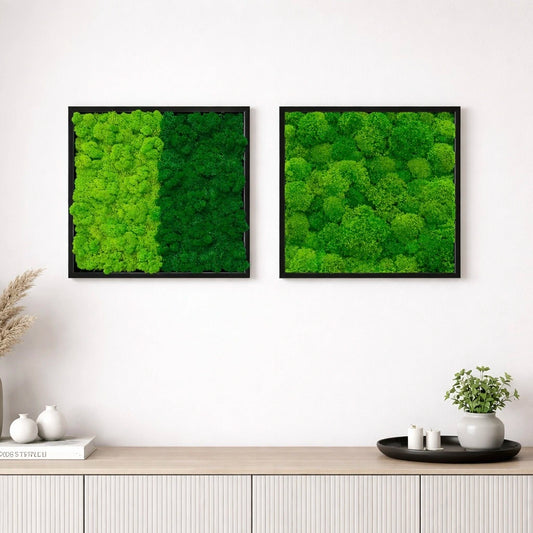 Composition de tableaux végétaux naturels stabilisés 