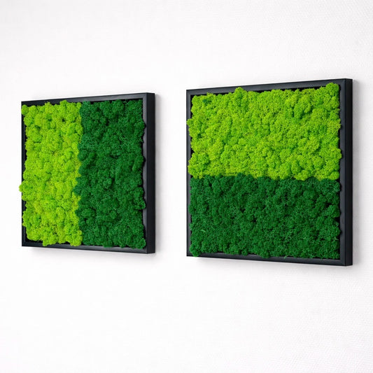 Tableaux végétaux naturels stabilisés 