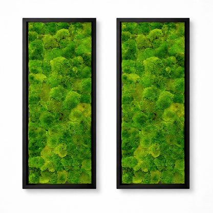 Tableaux végétaux naturels stabilisés 