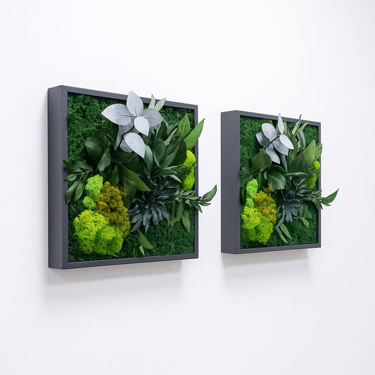 tableaux végétaux stabilisés naturels 