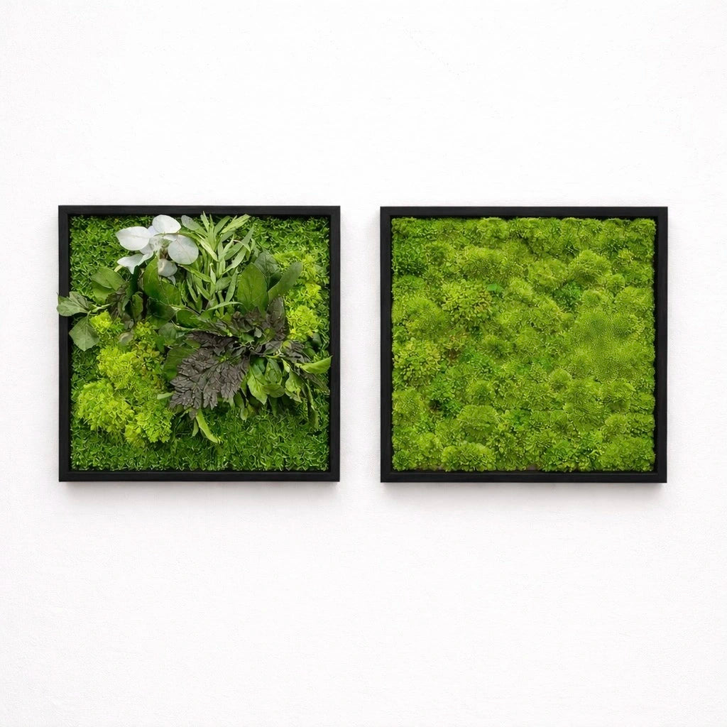 Tableaux végétaux naturels stabilisés 