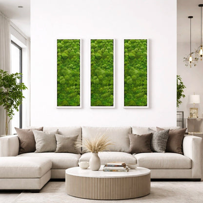Tableaux végétaux naturels stabilisés 