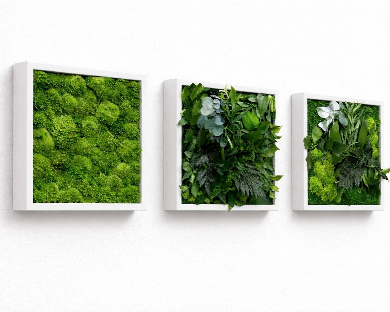 tableaux végétaux naturels stabilisés 