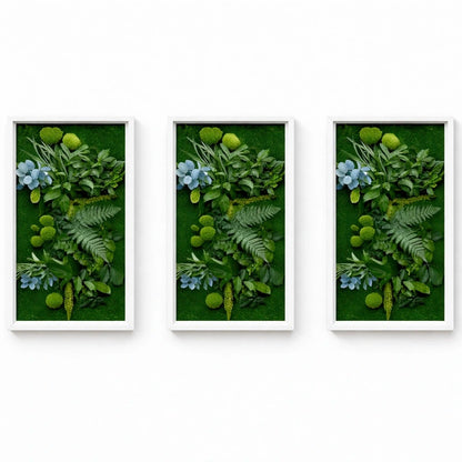 tableaux végétaux naturels stabilisés 