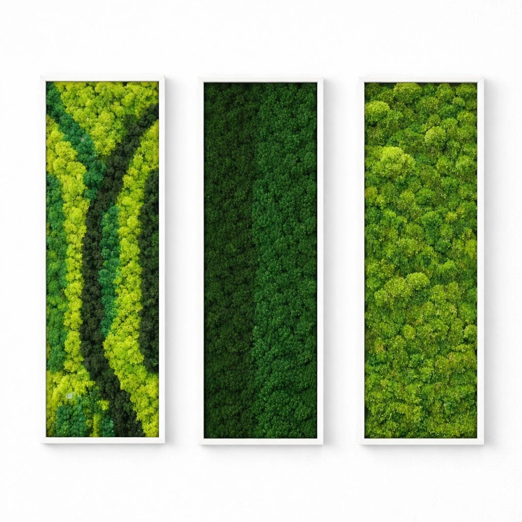tableaux végétaux naturels stabilisés 