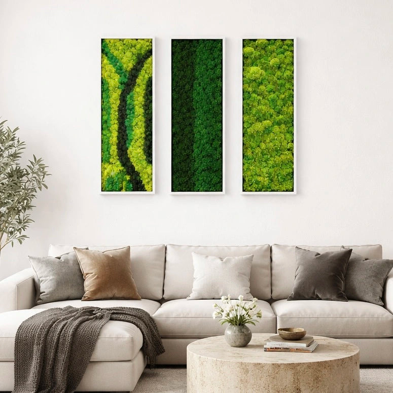 tableaux végétaux naturels stabilisés 