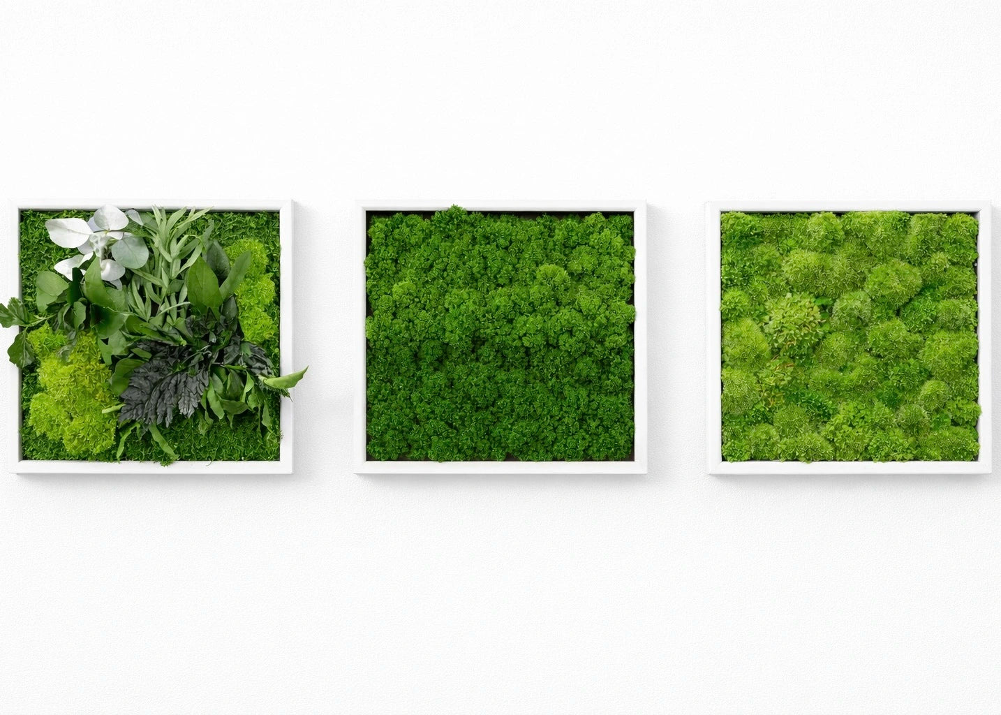 tableaux végétaux naturels stabilisés 