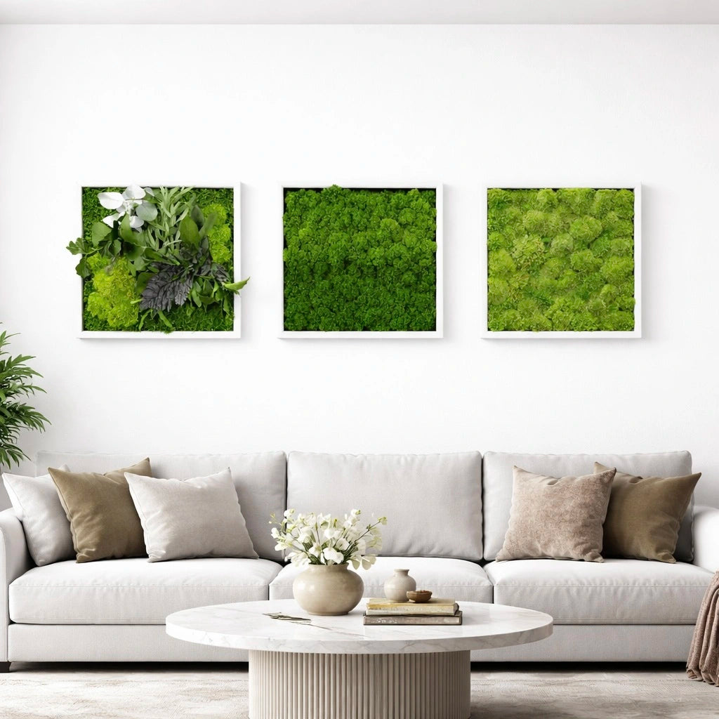tableaux végétaux naturels stabilisés 