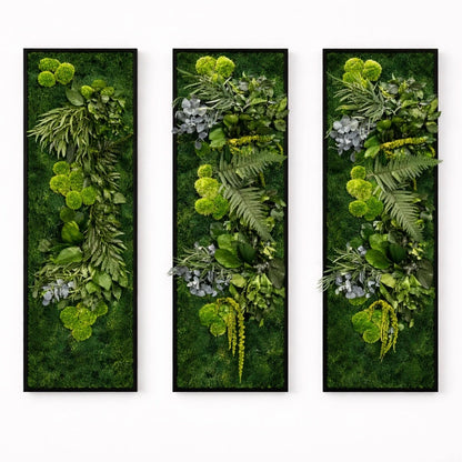 tableaux végétaux naturels stabilisés 