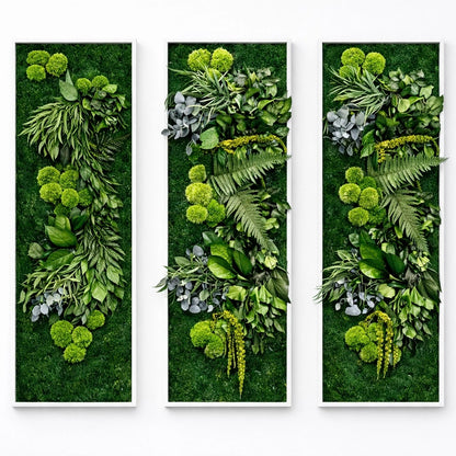 tableaux végétaux naturels stabilisés 