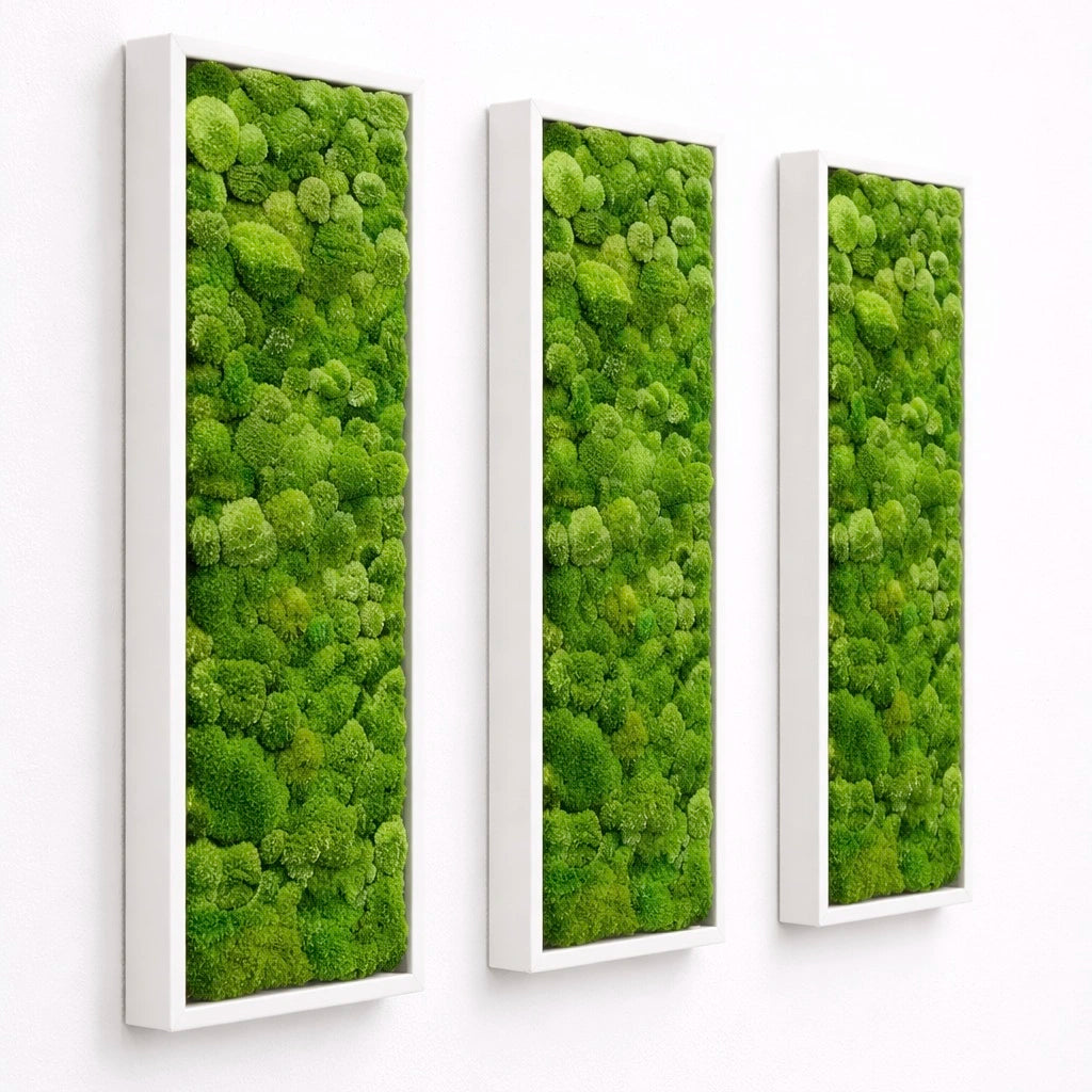 tableaux végétaux naturels stabilisés 