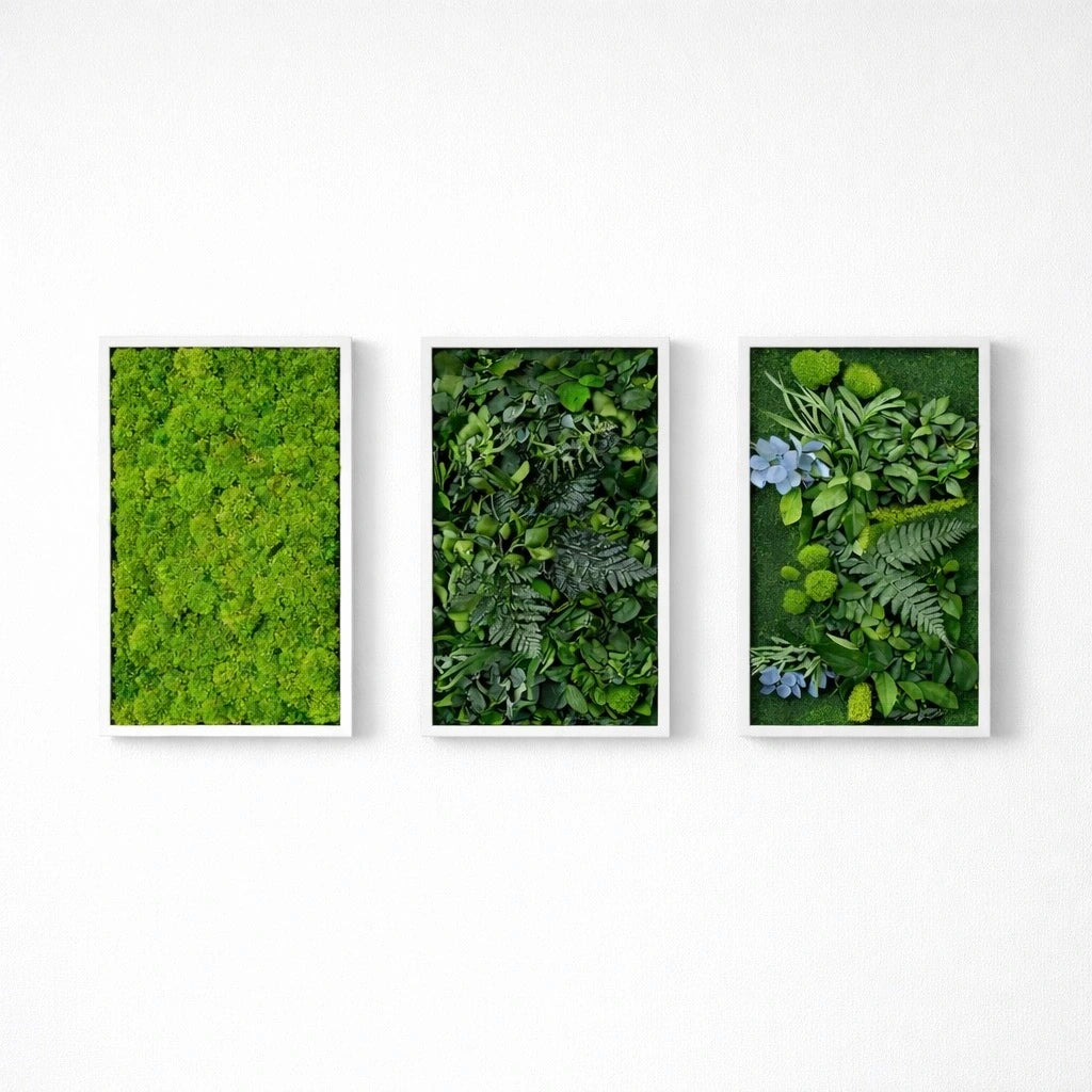 tableaux végétaux naturels stabilisés 