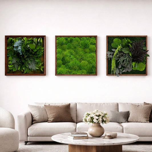 Composition tableaux végétaux naturels stabilisés 