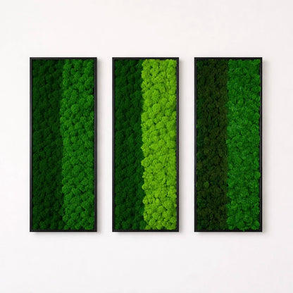 tableaux végétaux naturels stabilisés 