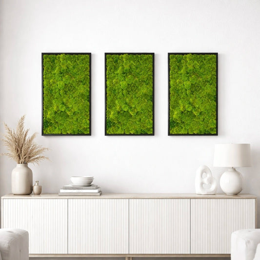 Tableaux végétaux naturels stabilisés 