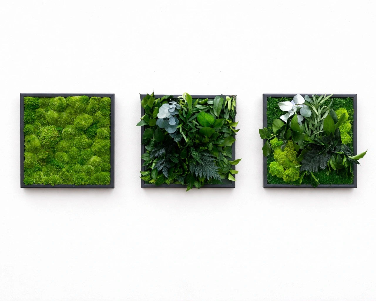 Tableaux végétaux naturels stabilisés 