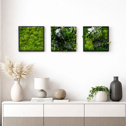 Tableaux végétaux naturels stabilisés 