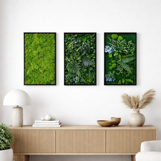 Tableaux végétaux naturels stabilisés 