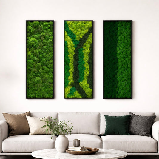 composition de tableaux végétaux naturels stabilisés 