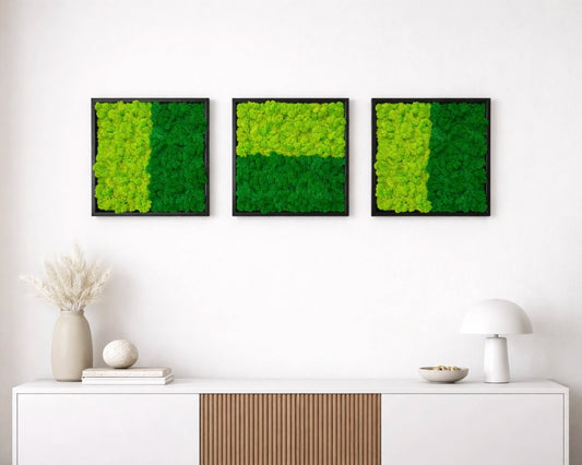 Tableaux végétaux naturels stabilisés Lichen bicolore 