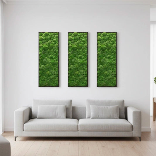 tableaux végétaux naturels stabilisés 