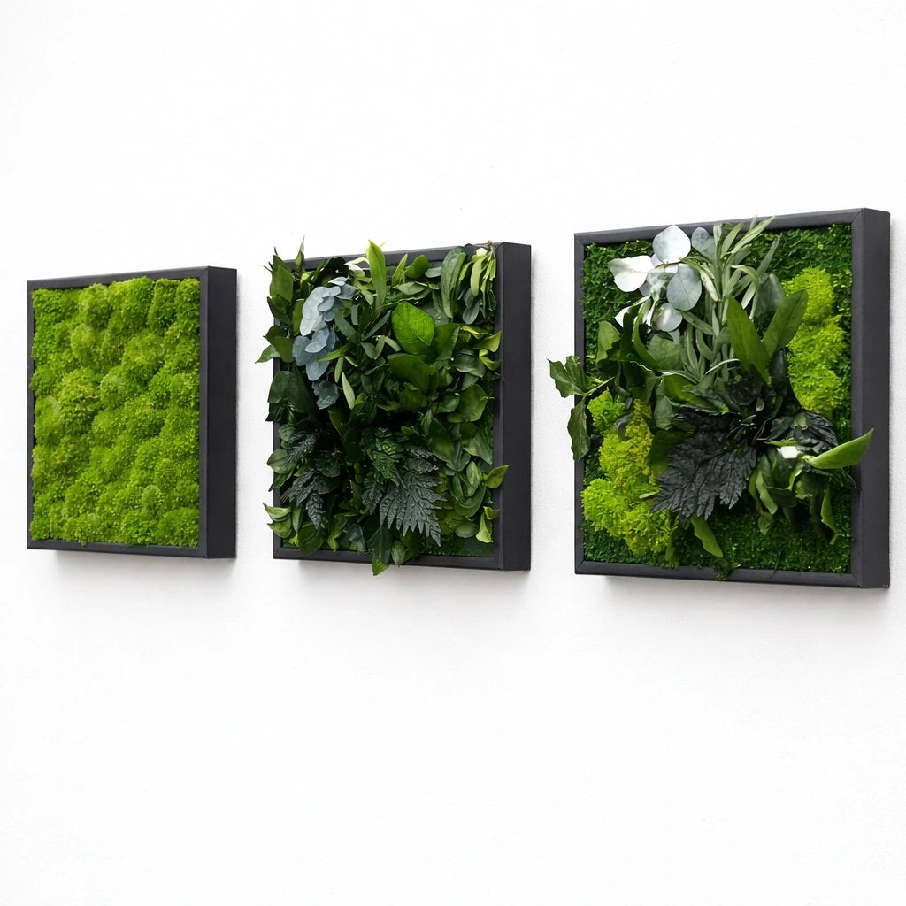 Tableaux végétaux naturels stabilisés 
