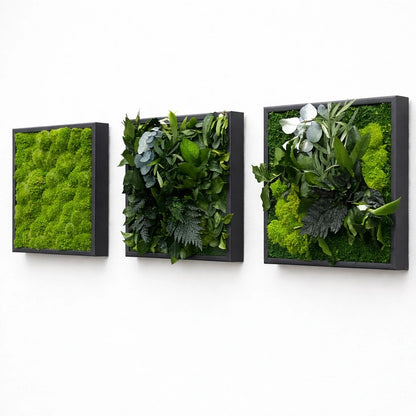 Tableaux végétaux naturels stabilisés 