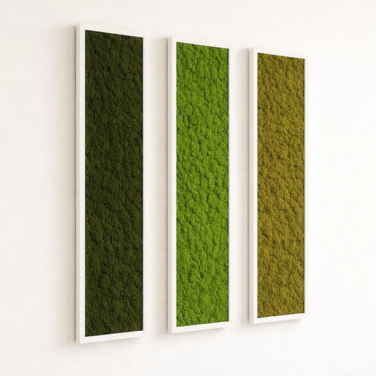 Tableaux végétaux naturels stabilisés 