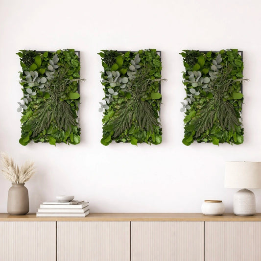 Tableaux végétaux naturels stabilisés Forest