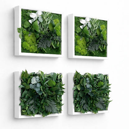 tableaux végétaux naturels stabilisés 