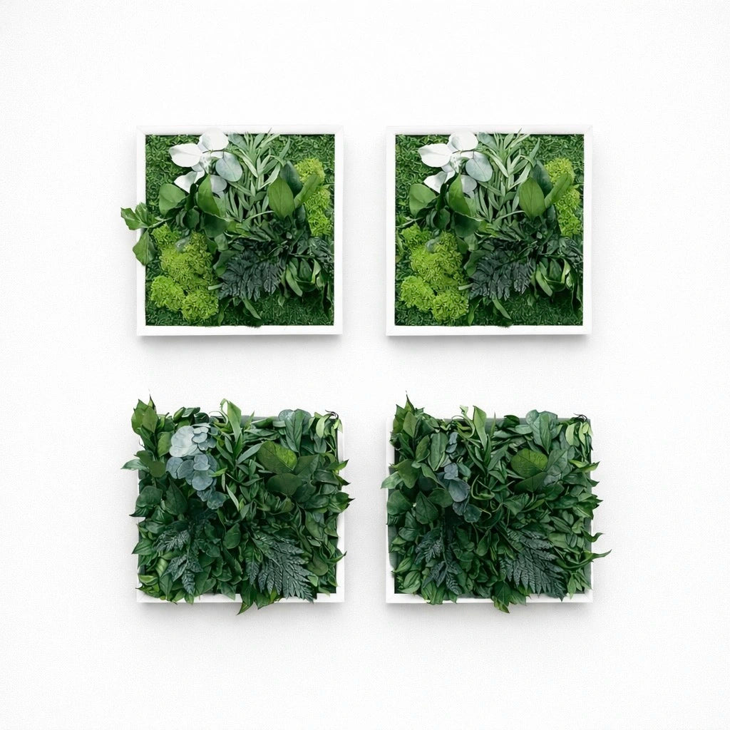 tableaux végétaux naturels stabilisés 