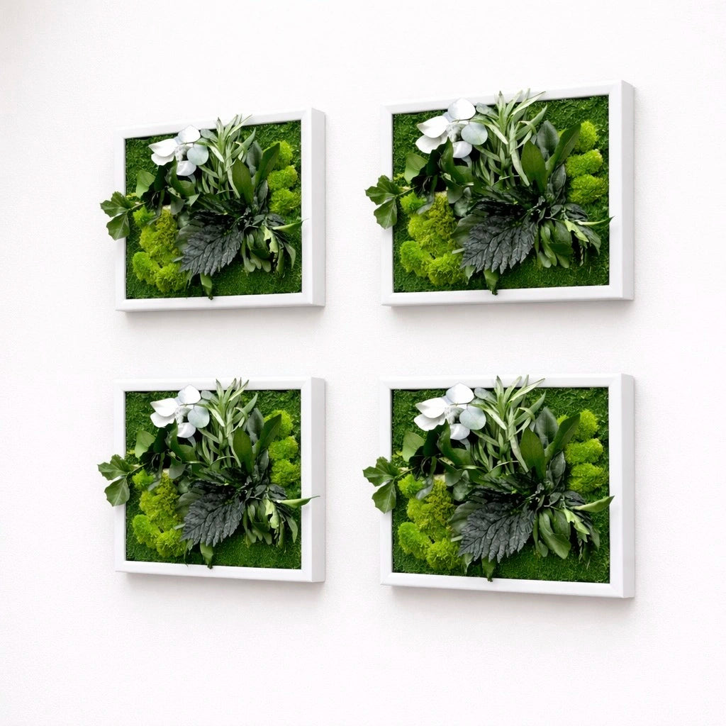 tableaux végétaux naturels stabilisés 