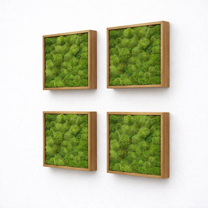 Tableaux végétaux naturels stabilisés 