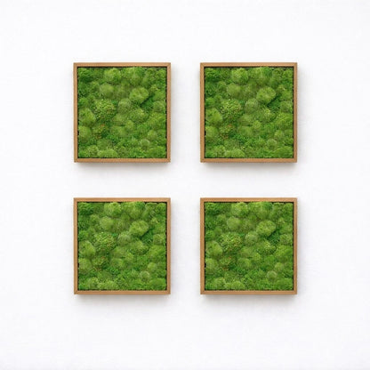 Tableaux végétaux naturels stabilisés 