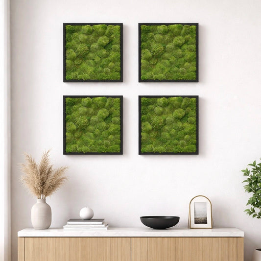 Tableaux végétaux naturels stabilisés 