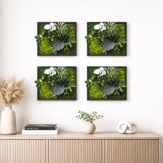 Tableaux végétaux naturels stabilisés 