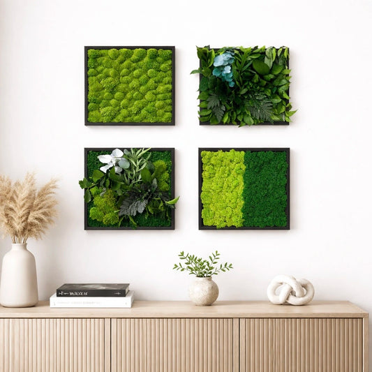 Tableaux végétaux naturels stabilisés 