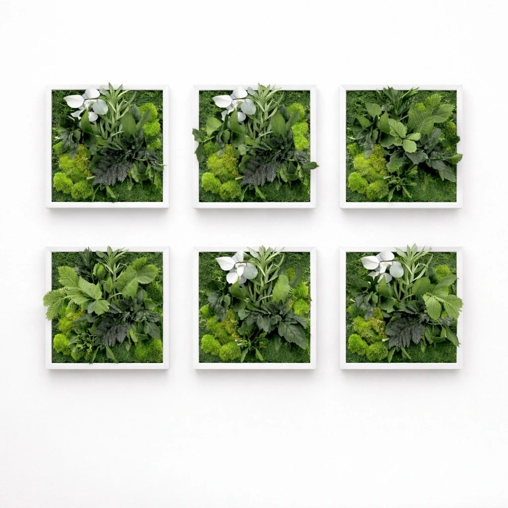 Tableaux végétaux naturels stabilisés 