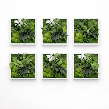 Tableaux végétaux naturels stabilisés 