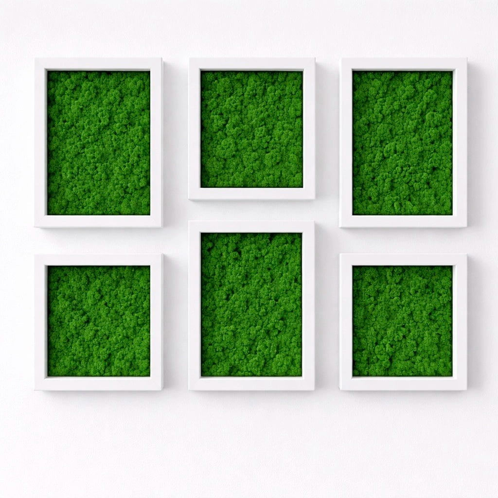 Tableaux végétaux naturels stabilisés 