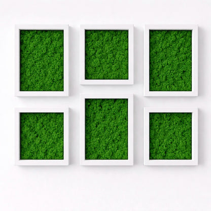 Tableaux végétaux naturels stabilisés 