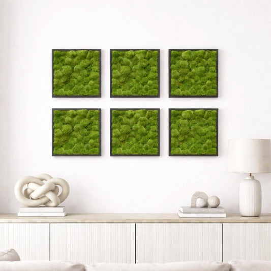 Tableaux végétaux naturels stabilisés 